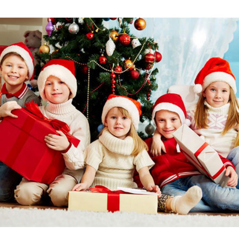Pluche Kerstmuts voor Volwasse - Santa Hat Plush recensie en prijs
